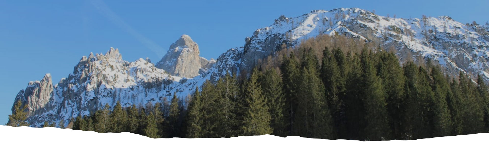 Borde Ski - sci in legno artigianali